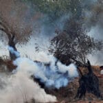 0692e5fd-bc67-4591-87c0-1eebe77d0de4