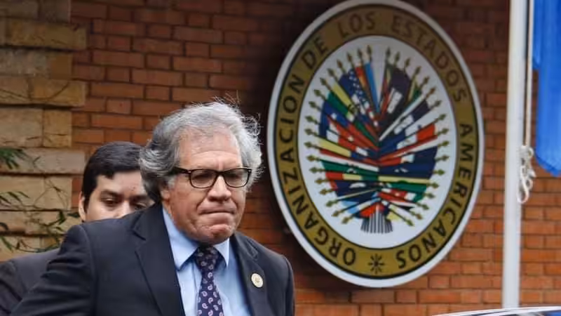 FB_IMG_1627817486133