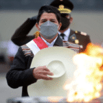 FireShot Capture 576 - The international community must be on alert to defend Peru.docx - Go_ - docs.google.com