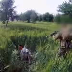 Screen-Shot-2021-07-29-at-7.40.50-PM-1200x653