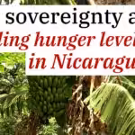nicaragua-food-sovereignty