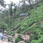 NicaNotes-2021-10-28