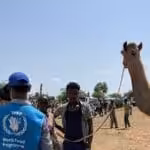 image1170x530cropped-1 (1)