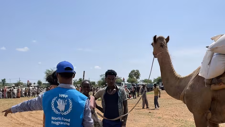 image1170x530cropped-1 (1)