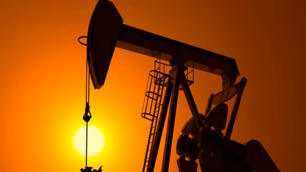 f5fedcd7-1a12-4e9b-8964-39a26e7df4a0