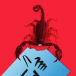 Alacranes vs G4 is the new political battle coming to Venezuela in the coming years. In the photo an alacran (scorpion) eatin slowly the MUD card used by G4 as its voting logo. Photo by lagranaldea.com.