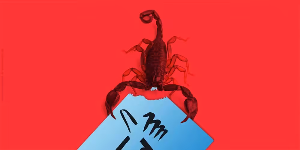 Alacranes vs G4 is the new political battle coming to Venezuela in the coming years. In the photo an alacran (scorpion) eatin slowly the MUD card used by G4 as its voting logo. Photo by lagranaldea.com.