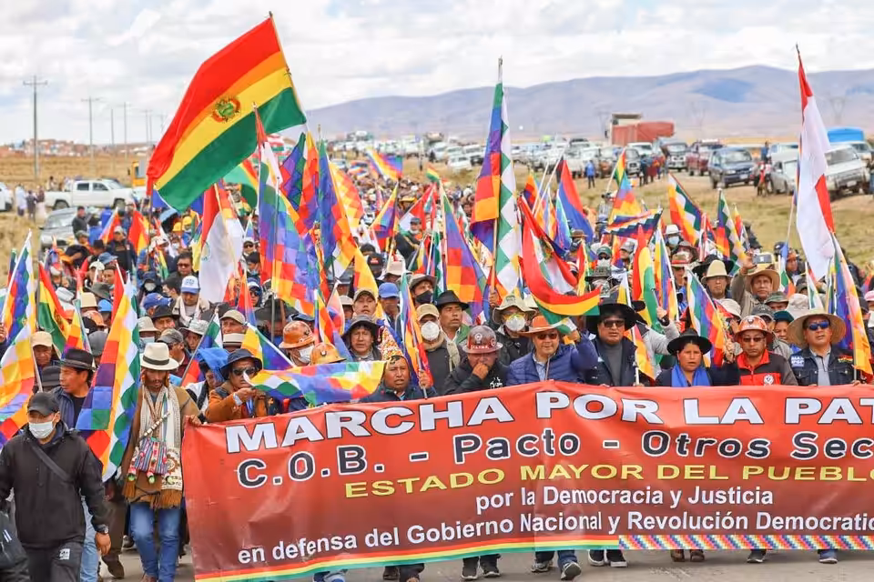 293142-whatsapp-20image-202021-11-28-20at-204-45-46-20pm