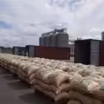Bags of ASOPRAS coffee ready to by ship at Venezuelan docks. Photo by Ultimas Noticias.