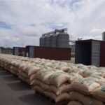 Bags of ASOPRAS coffee ready to by ship at Venezuelan docks. Photo by Ultimas Noticias.