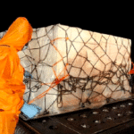 Screenshot 2021-12-28 10.13.52 AM