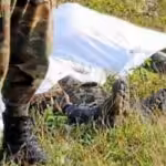 colombia-falsos-positivos-696x389