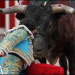 Bull about to be sacrifice. File photo by Javier Sesmaf.