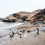 Clean-up operation underway in the coastal territories affected by the oil spill in the Ventanilla Sea of Peru, January 20, 2022. Photo: Presidency of Peru / @presidenciaperu