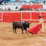 Bullfighting event in Maracaibo. File photo.