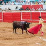 Bullfighting event in Maracaibo. File photo.