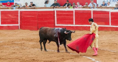 Bullfighting event in Maracaibo. File photo.
