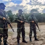 Screen Shot 2022-01-11 at 19.25.48