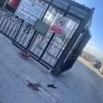 fiwi518x0amuvlh-1641830879-1641973258