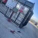 fiwi518x0amuvlh-1641830879-1641973258