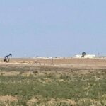 petrolllllll-660x330-1