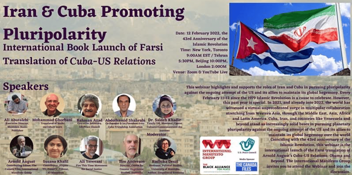 Poster for the webinar by IMG.