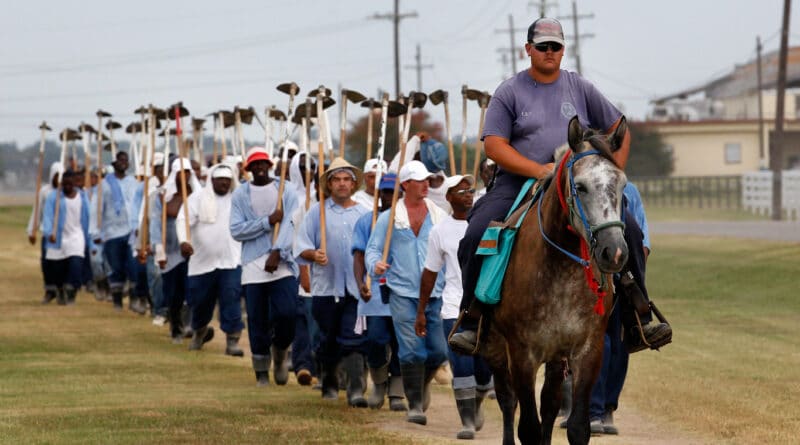 Inmates return from farm work detail at the Louisiana State Penitentiary in Angola, La. Gerald Herbert/AP