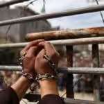 Featured Image: Palestinian prisoners' hands in chains.