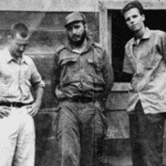 FireShot Capture 733 - BOOK REVIEW - Baldock - Wild Green Oranges.docx - Google Docs_ - docs.google.com