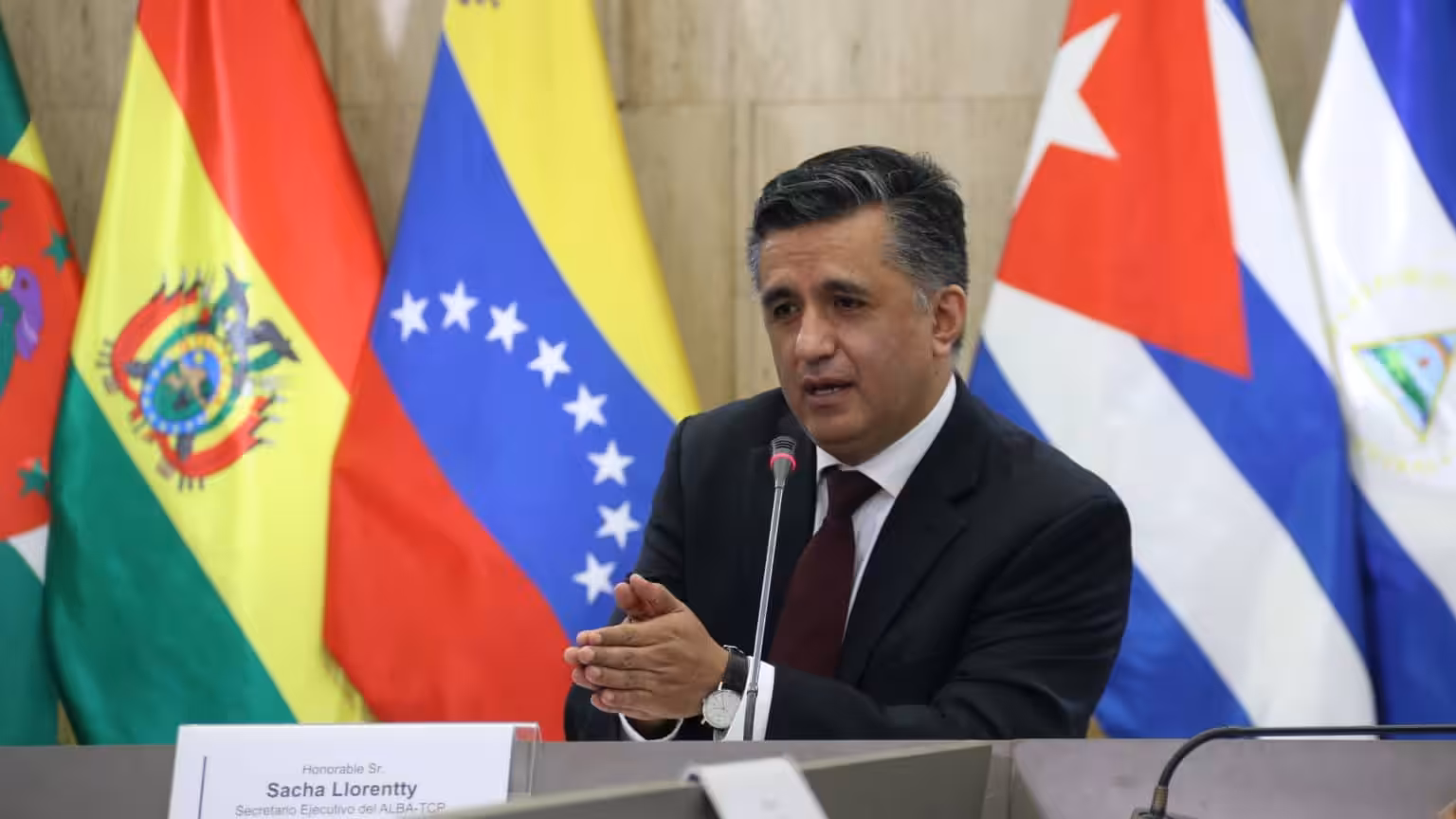 Bolivian diplomat Sacha Llorenti, ALBA-TCP secretary general. File photo.