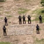 Featured image: FANB personnel display seized cannabis in Apure state. Photo: RedRadioVE.