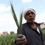 FireShot Capture 753 - Russia and Ukraine, the world's breadbaskets.docx - Google Docs_ - docs.google.com