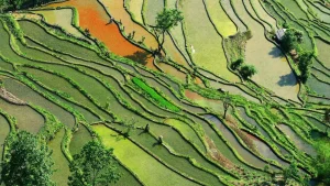 A farm in China's southern Yunnan province. File photo.