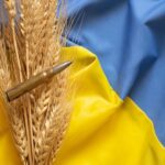 A bullet and an ear of wheat on a Ukrainian flag. File photo.