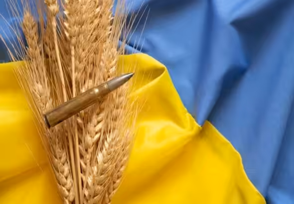 A bullet and an ear of wheat on a Ukrainian flag. File photo.