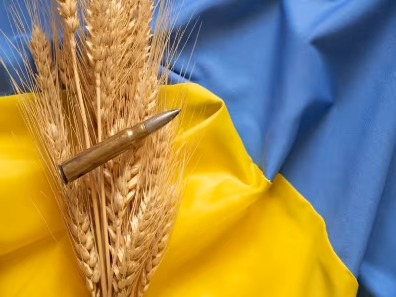 A bullet and an ear of wheat on a Ukrainian flag. File photo.