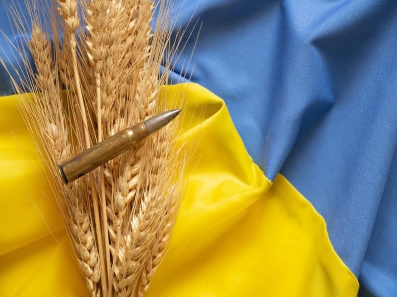 A bullet and an ear of wheat on a Ukrainian flag. File photo.