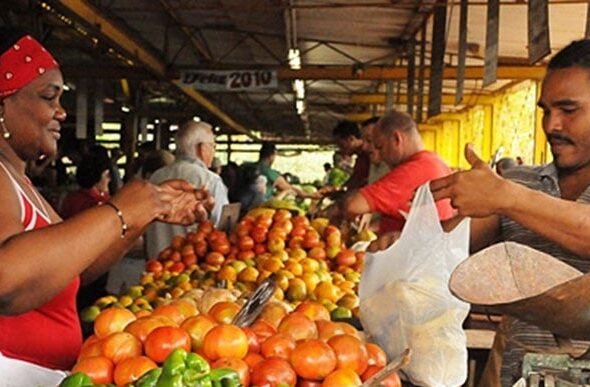 Woman buying vegetables in a popular market. File photo.