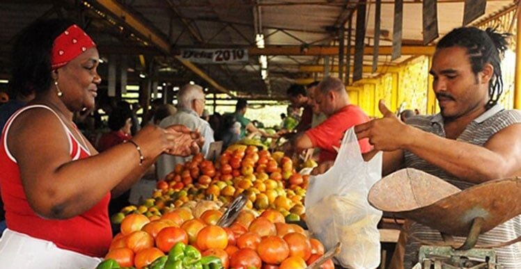 Woman buying vegetables in a popular market. File photo.