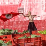 A militant of Brazil's Landless Workers' Movement (MST) flies the organizations flag at a cooperative market. Photo: Wellington Lenon/MST-PR.