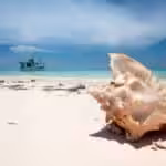 La Tortuga Island postcard portraying a beach with a fishing boat and a seashell. Photo: Venezuela1811.