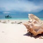 La Tortuga Island postcard portraying a beach with a fishing boat and a seashell. Photo: Venezuela1811.