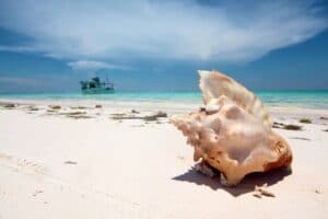 La Tortuga Island postcard portraying a beach with a fishing boat and a seashell. Photo: Venezuela1811.