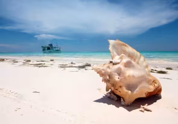 La Tortuga Island postcard portraying a beach with a fishing boat and a seashell. Photo: Venezuela1811.