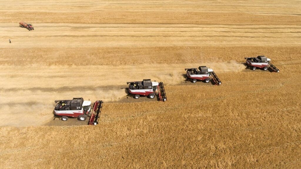 Tractors on a wheat field. Photo: Nikolay Gyngazov/Global Look Press.