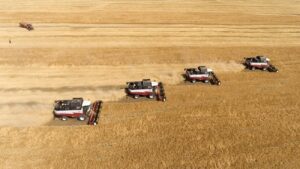Tractors on a wheat field. Photo: Nikolay Gyngazov/Global Look Press.