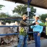 President Nicolás Maduro visits the state of Aragua and talks with producers from the area. File photo courtesy of Presidential Press.