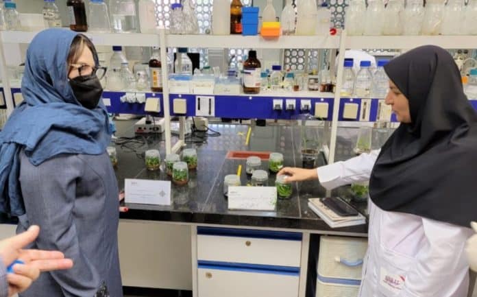 Two female researchers at the Agricultural Biotechnology Institute of Iran. Photo: @Gabrielasjr.