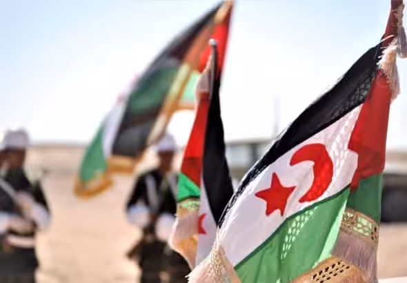 Flags of the Sahrawi Arab Democratic Republic. Photo: File photo courtesy of HispanTV.