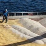 Volgograd, Russia April 26, 2022: An employee of the Volgograd Elevator grain storage loads grain on a vessel. Photo: Dmitry rogulin/Tass.